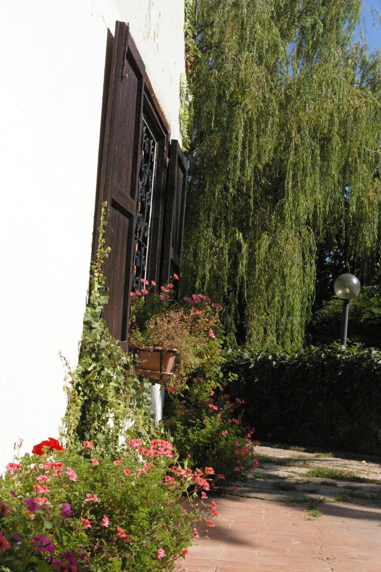 B&B Villa Sans Souci Civitavecchia Exteriér fotografie