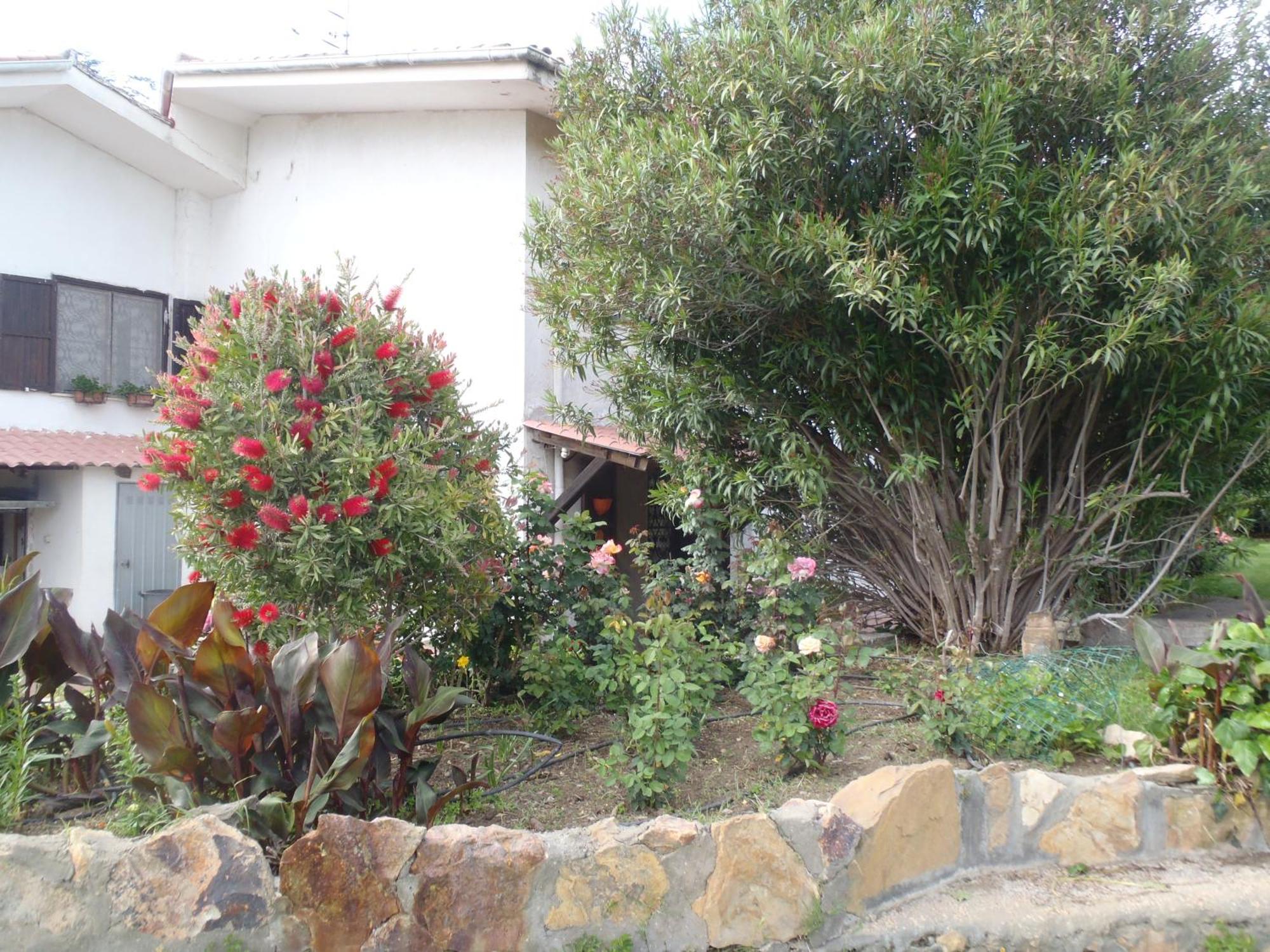 B&B Villa Sans Souci Civitavecchia Exteriér fotografie