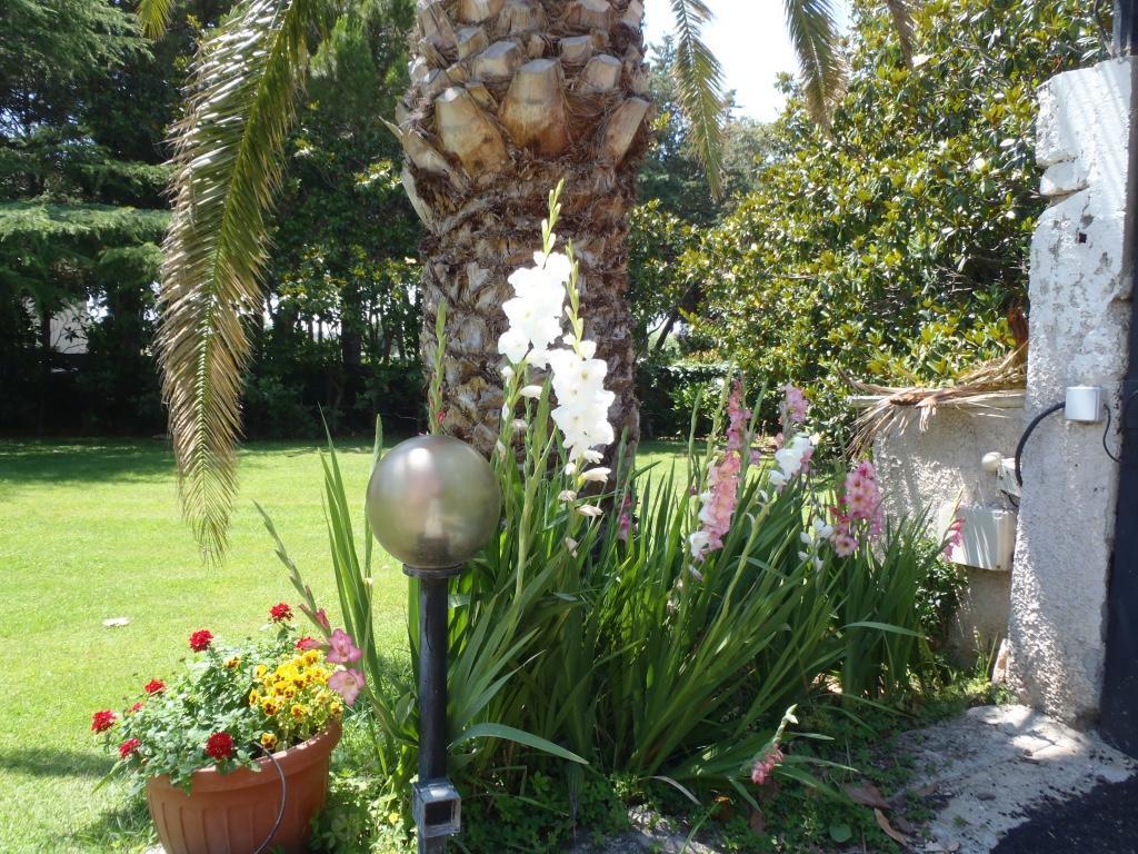 B&B Villa Sans Souci Civitavecchia Exteriér fotografie