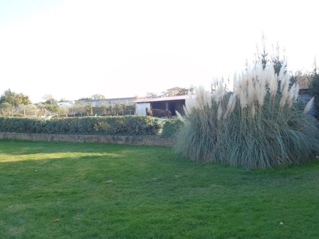 B&B Villa Sans Souci Civitavecchia Exteriér fotografie