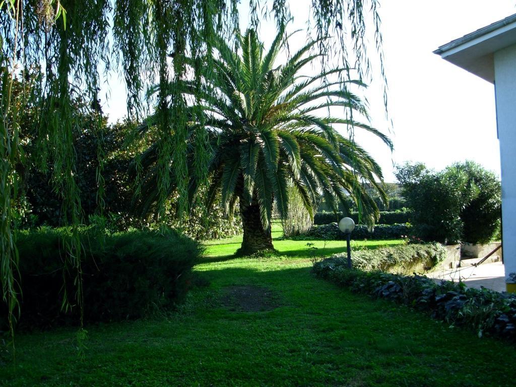 B&B Villa Sans Souci Civitavecchia Exteriér fotografie