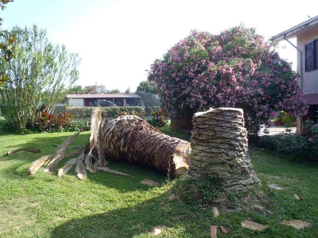 B&B Villa Sans Souci Civitavecchia Exteriér fotografie